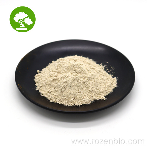 Factory Supply Oyster Peptide Extract Collagen Powder
